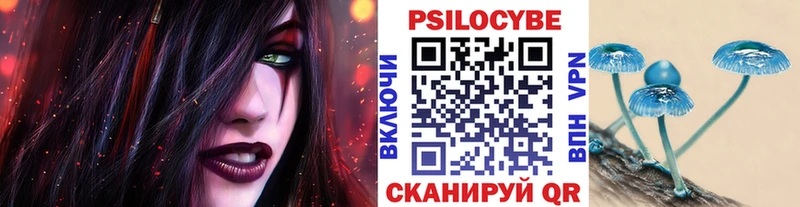 Псилоцибиновые грибы Psilocybine cubensis  Талдом 
